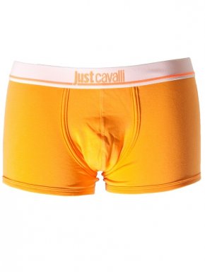More about JUST CAVALLI Italian boxer
