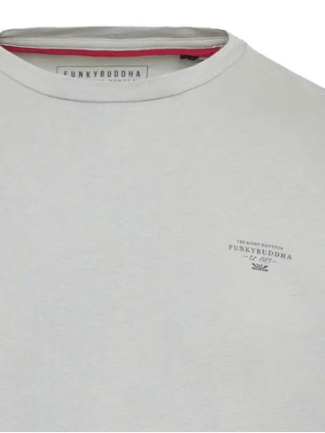 FUNKY BUDDHA Men's grey T-Shirt FBM009-001-04 GRAY